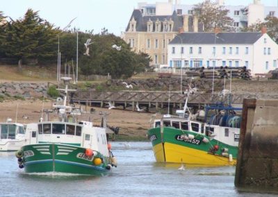 Bateaux de pêche à la sardines